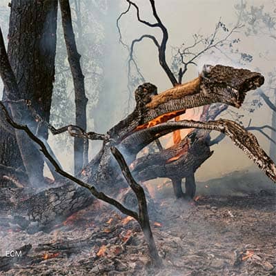 Hellbound Train by Steve Tibbetts