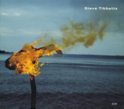 A Man About a Horse, album cover