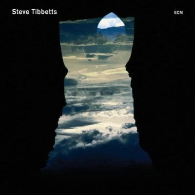 Natural Causes by Steve Tibbetts