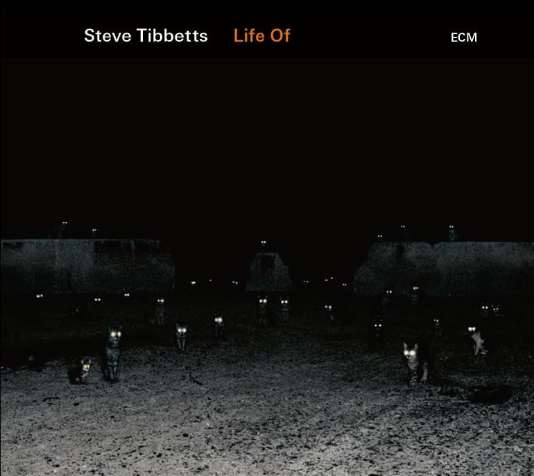 Life Of by Steve Tibbetts