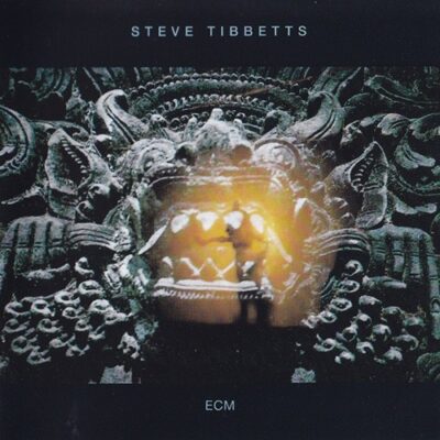 The Fall of Us All by Steve Tibbetts